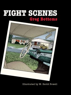 cover image of Fight Scenes